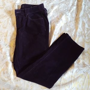 Ann Taylor. Pant for ladies.